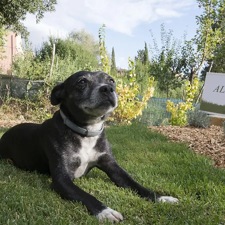 Lejlighedshotel La Coroncina 4*